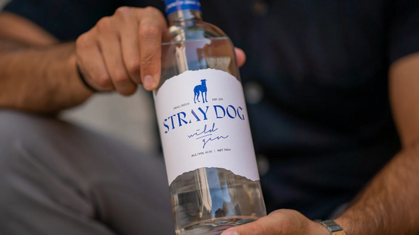 Stray Dog Gin: A Summer Sensation Recognised by CNN Underscored