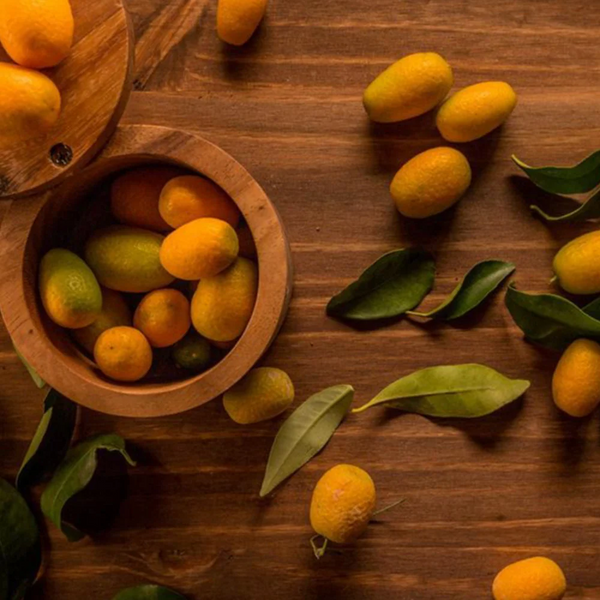 Product Spotlight: Lazaris Kumquat Marmalade