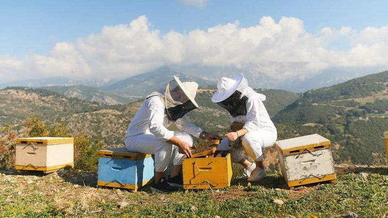 Limited Edition Organic Pine Tree Honey from Thassos 400g