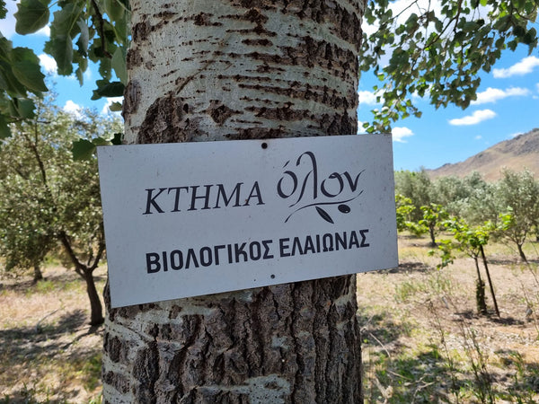 Ktima Olon Estate Extra Virgin Olive Oil 500ml