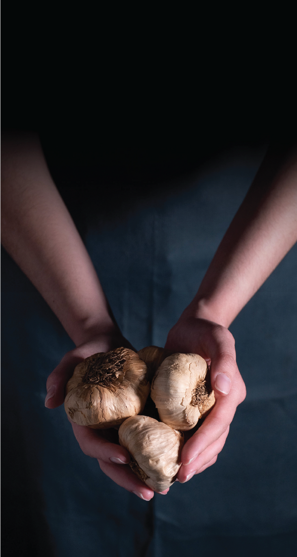 Black Garlic Mustard 220g