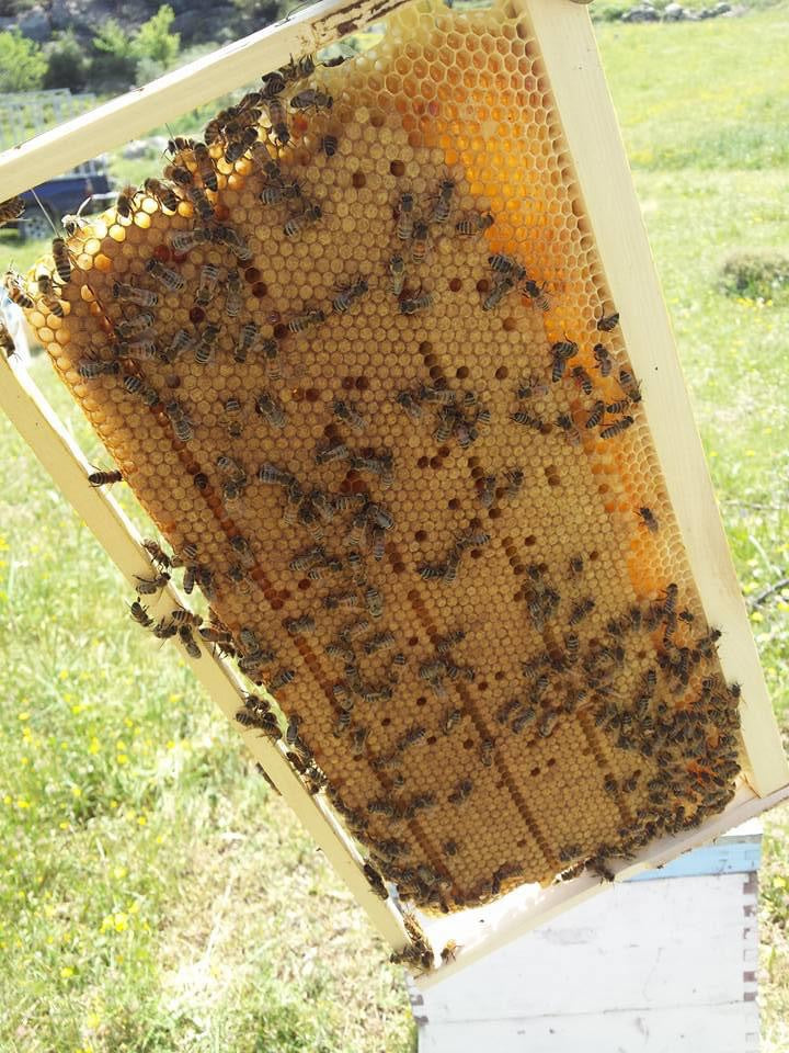 Smari Cretan Thyme Honey 460g