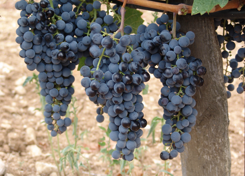 Kotsifali Queen Red Wine 750ML