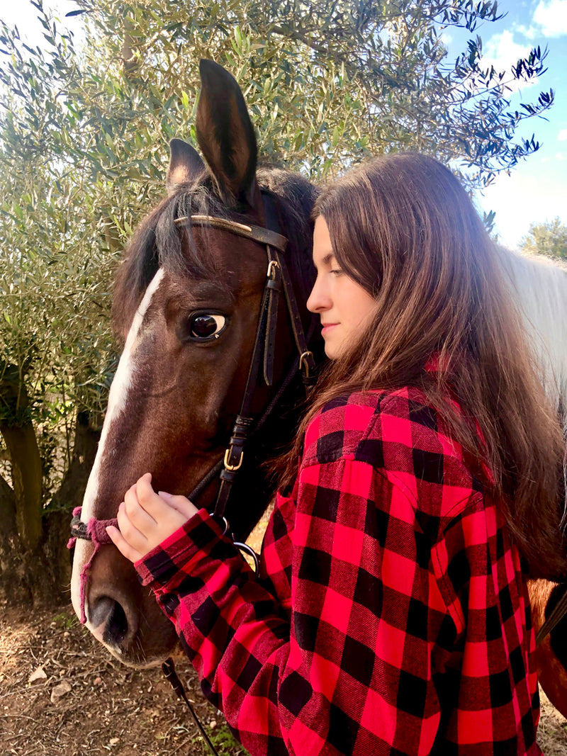 Early Harvest Organic Extra Virgin Olive Oil from Halkidiki 500ml