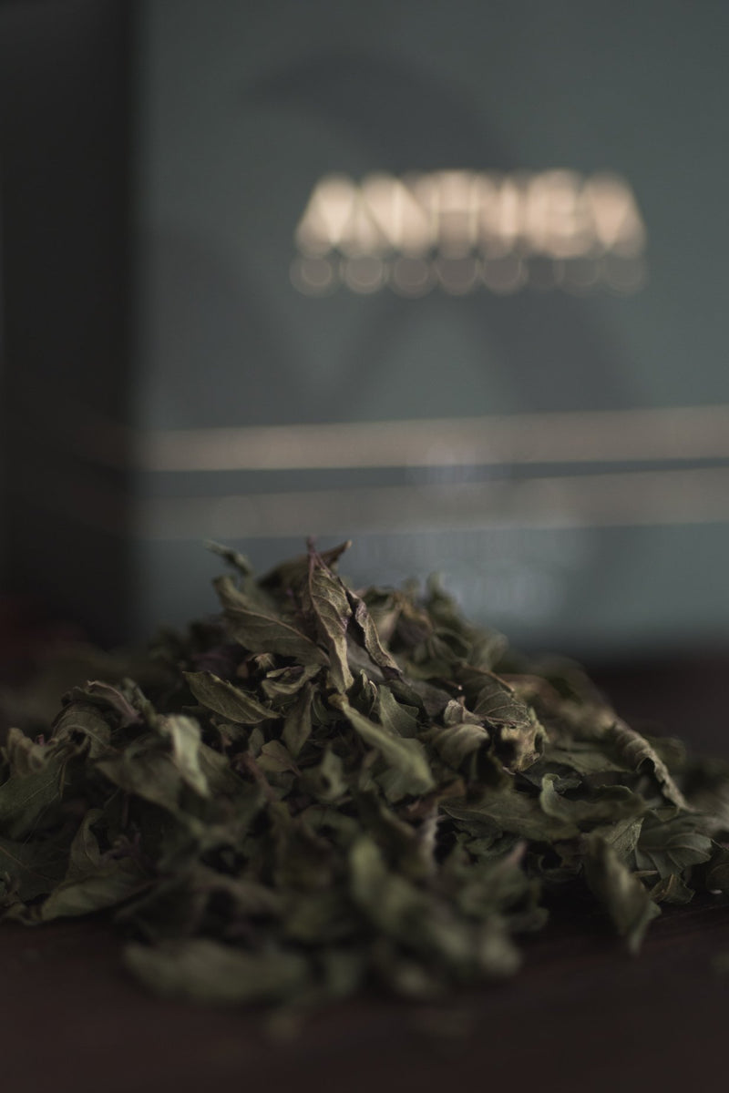 Organic Mint leaf 10 Tea Bags