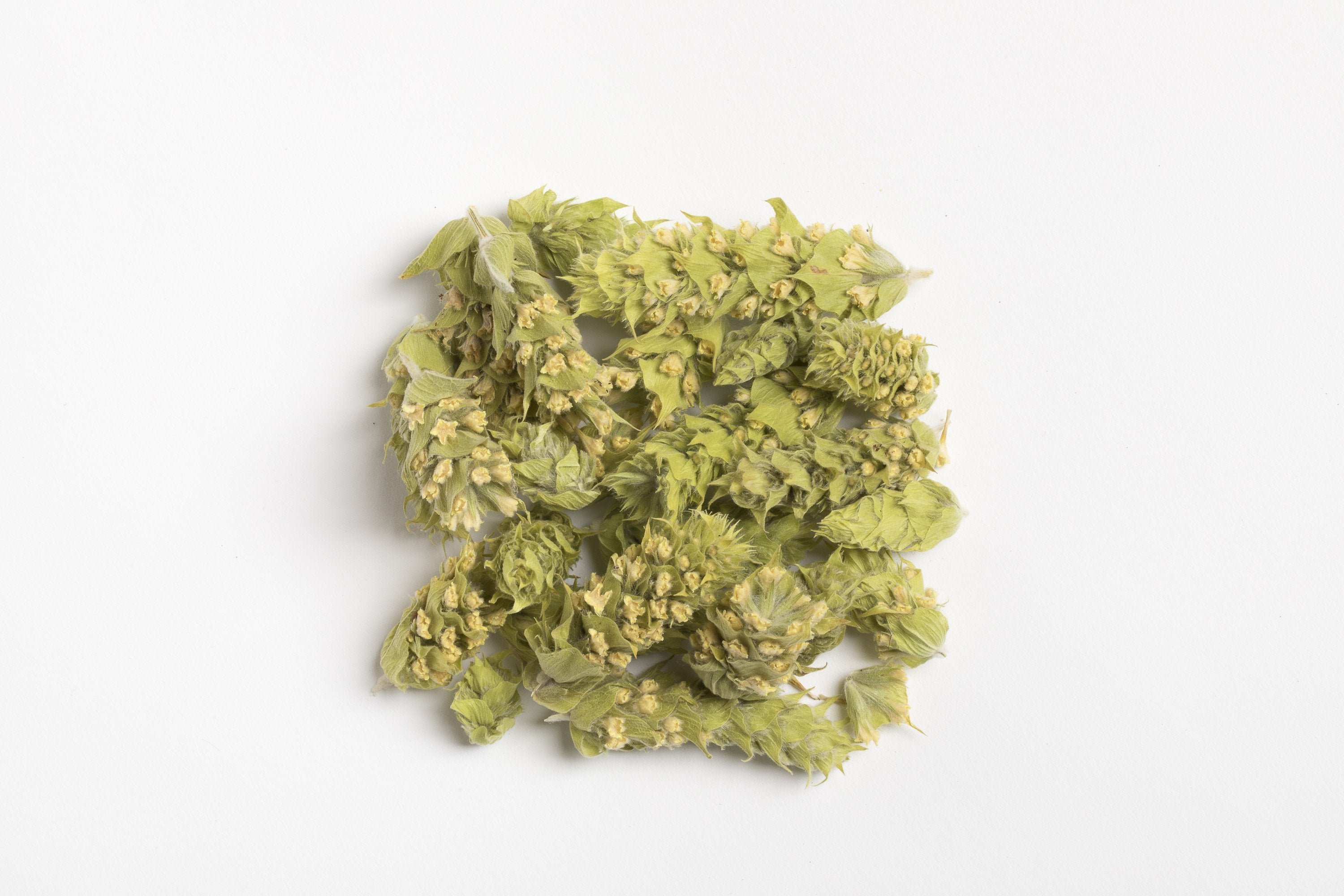 Organic Greek Mountain Tea- Sideritis 10 Tea Bags – The Greek Providore