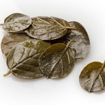 Capers Leaves in Brine 212g